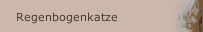 Regenbogenkatze